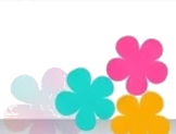 Fiori RaffaBella